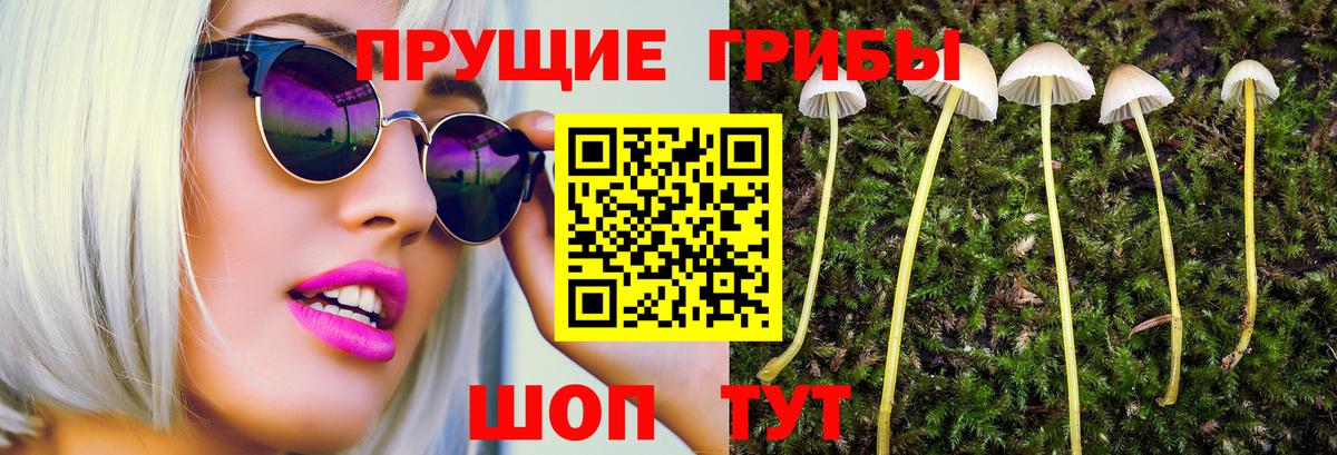 Ржев  Галлюциногенные грибы ЛСД  наркотики  Вход с VPN 